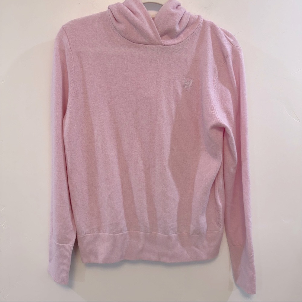 ASHER pink hooded sweater